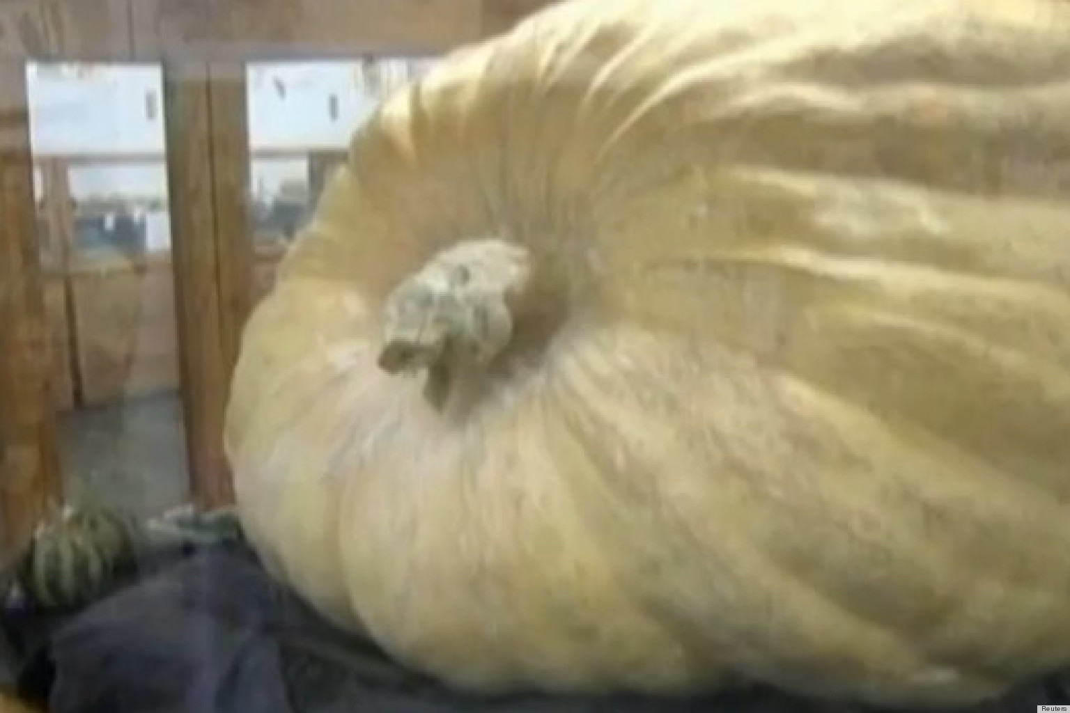 ron-wallace-grows-the-largest-pumpkin-breaking-world-record-video