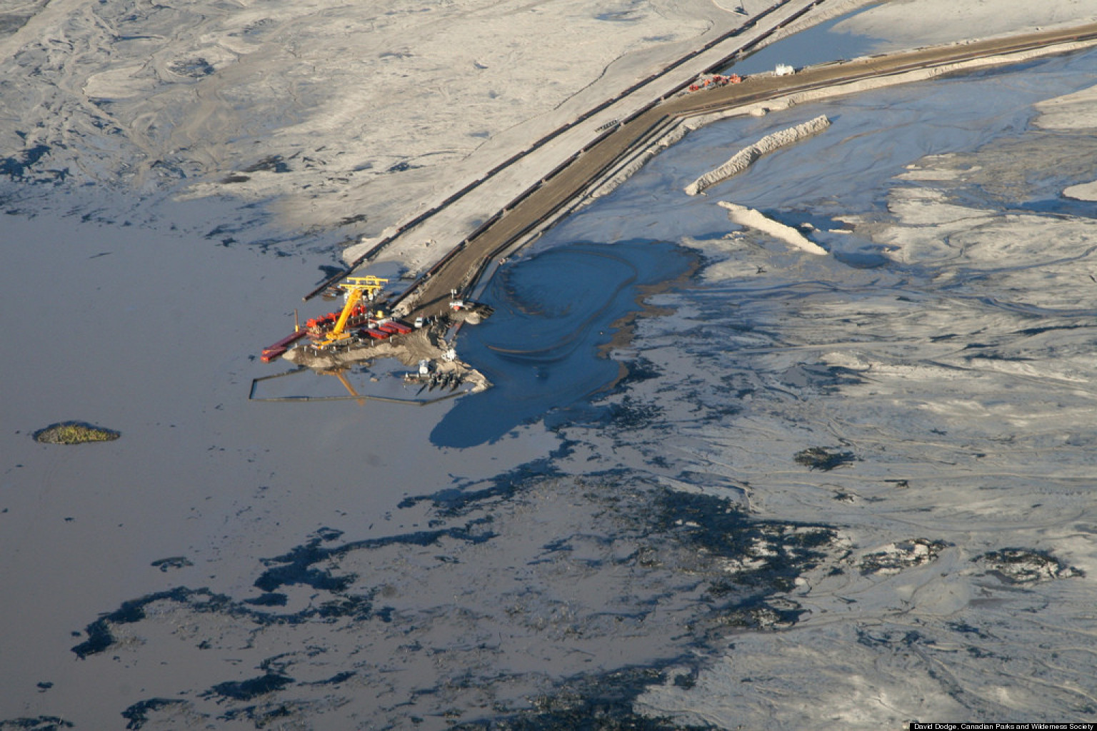 Tailings Ponds Ducks Eight Facts About Tailings Ponds