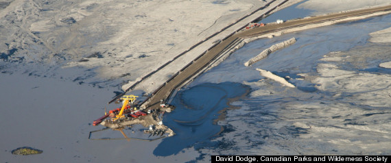 Tailings Ponds Duck
