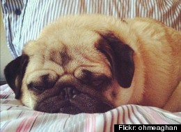 Need To Sleep