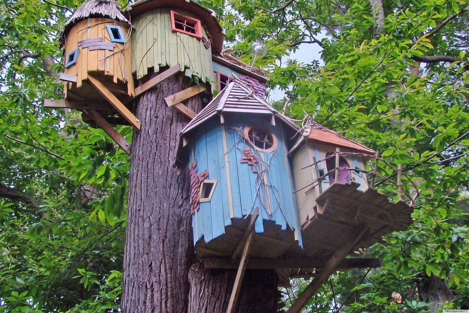Cool Tree House Designs