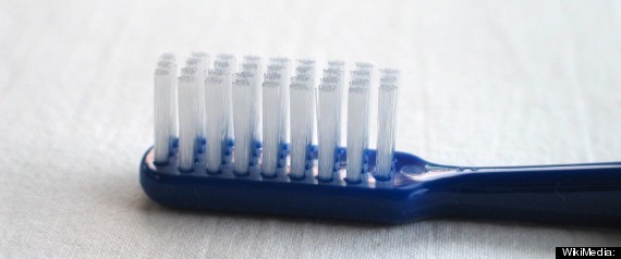 Stephan Evans Toothbrush