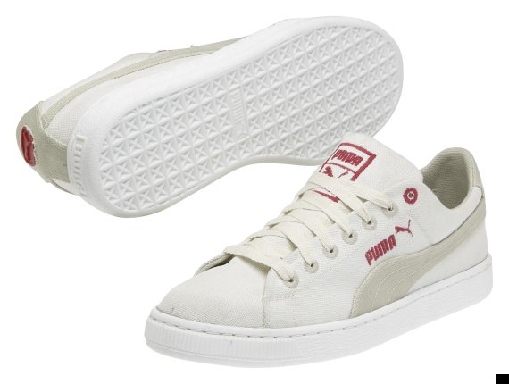 biodegradable puma incycle basket