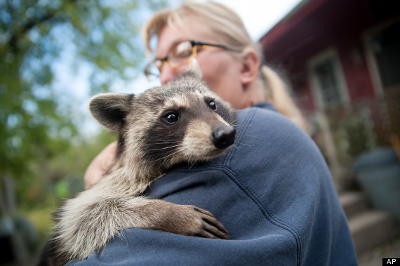 exchange_animal_refuge
