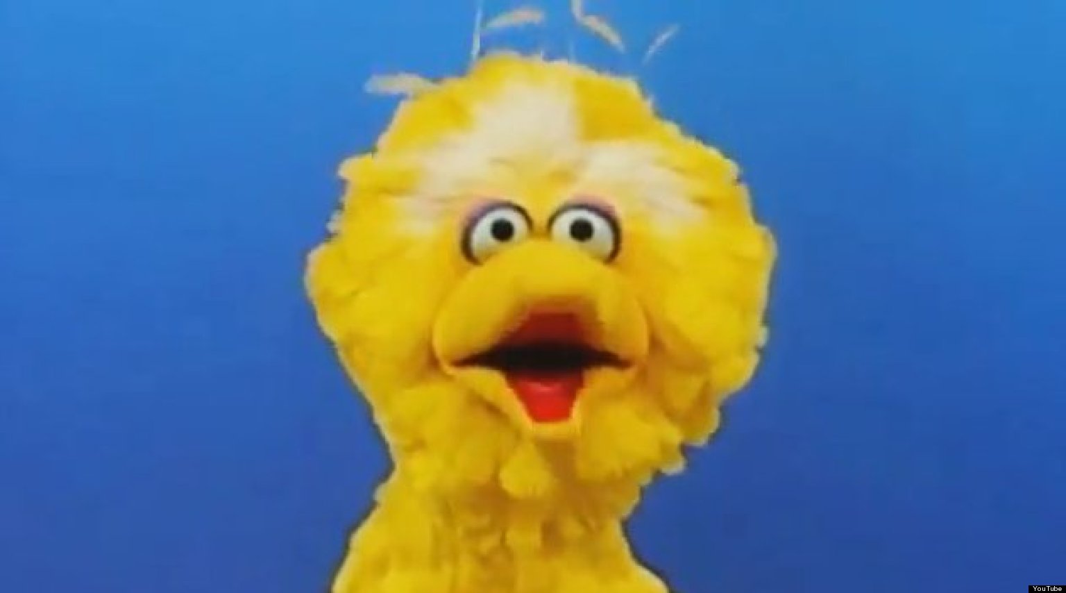 Sesame Street Asks Obama Campaign To Take Down Big Bird Ad Video