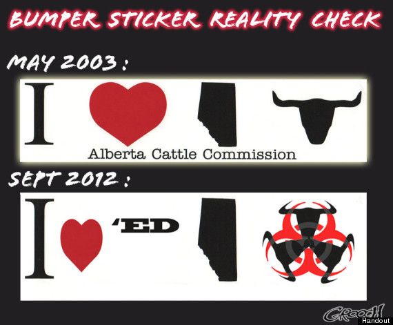 alberta beef bumper sticker
