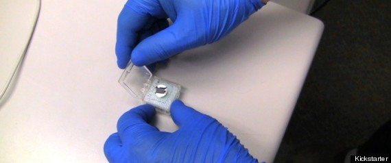 Smallest Reproduction Printed Book