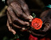 6 Amazingly Gorgeous Photos From Around The World