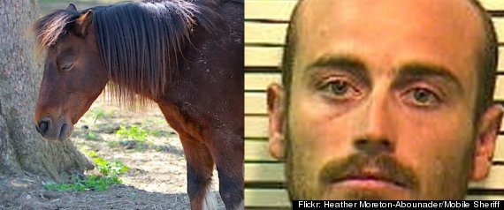 Man having sex with hores intense