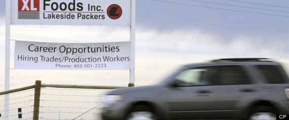 Beef Recall Processing Xl
