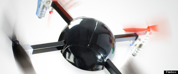 P5565_big