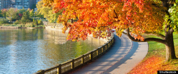 Stanley Park Seawall