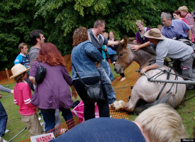 masons horse death