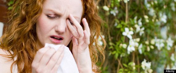 Allergy