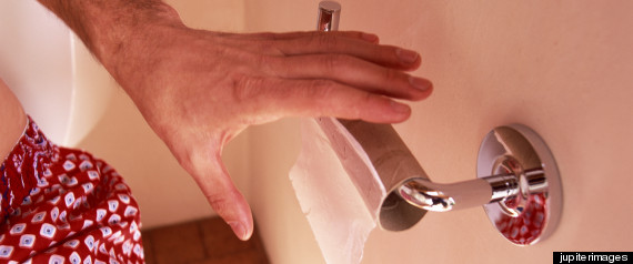 r-HANDS-TOILET-large570.jpg?10