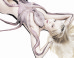 Fish And Pics: Celebs Pose Naked To Save Our Seas