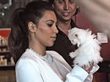 Kim Kardashian Takes Her Pet Cat Mercy...