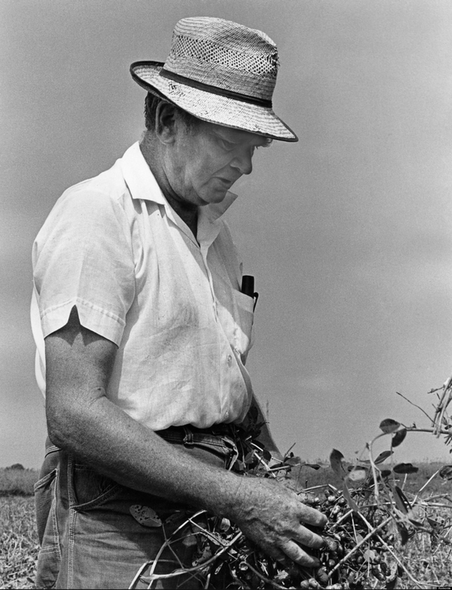 Clarence Jordan Cotton Patch Version progsasia