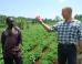 Investing Fund Seeks Social Impact Through Agriculture