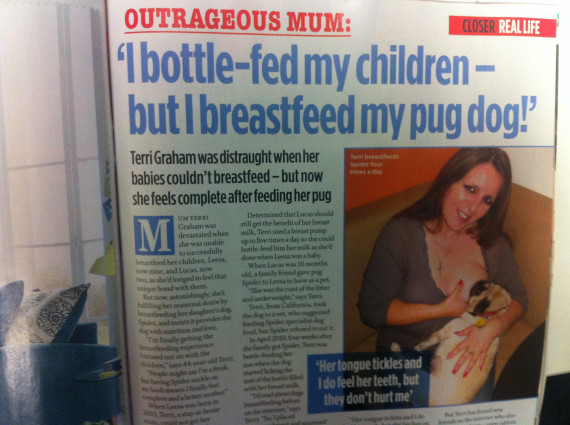 breastfeeding dog