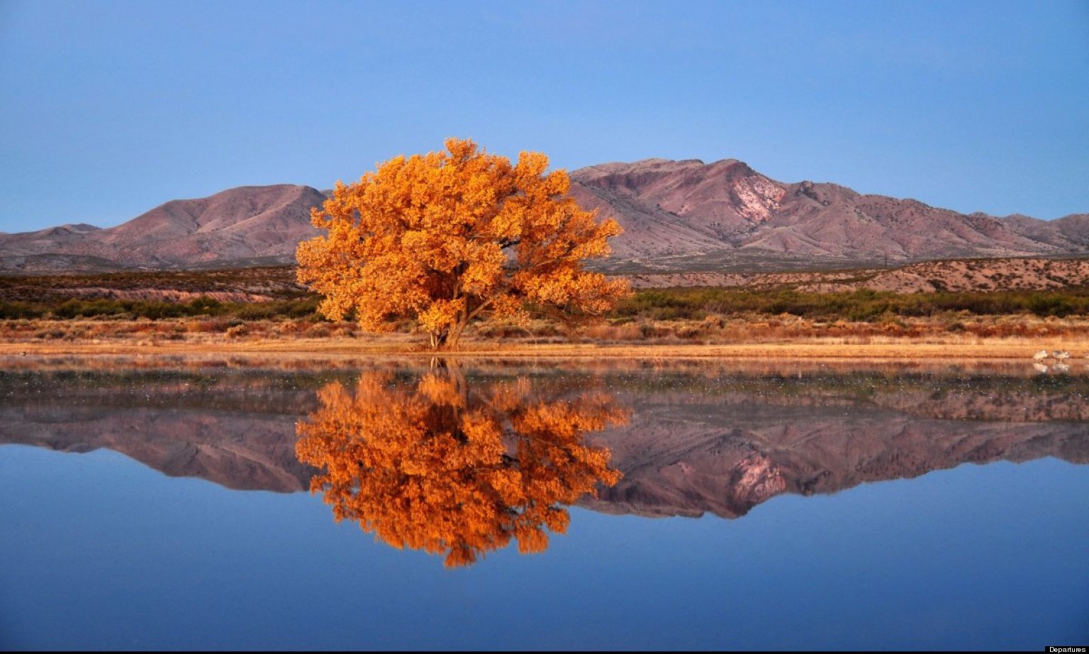 9 Great End Of Fall Drives (PHOTOS) | HuffPost