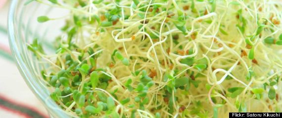 Kroger Sprouts