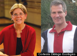 Aparte de la elección presidencial, ¿qué otras elecciones merecen el interés de los ecologistas en noviembre?