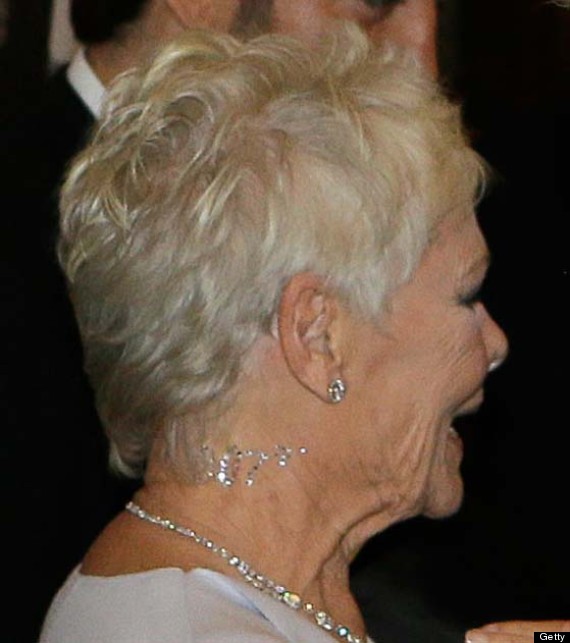 judi dench vajazzle