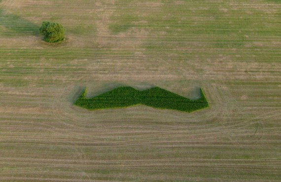 the 120ft giant mowstache