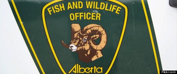Fish And Wildlife