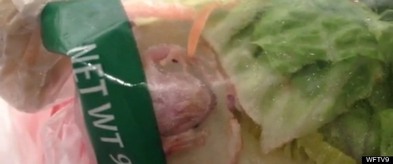 Frog In Salad