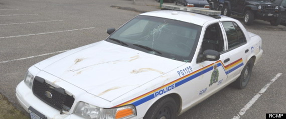 Rcmp Moose Damage