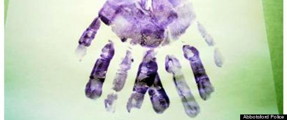 Purple Handprint