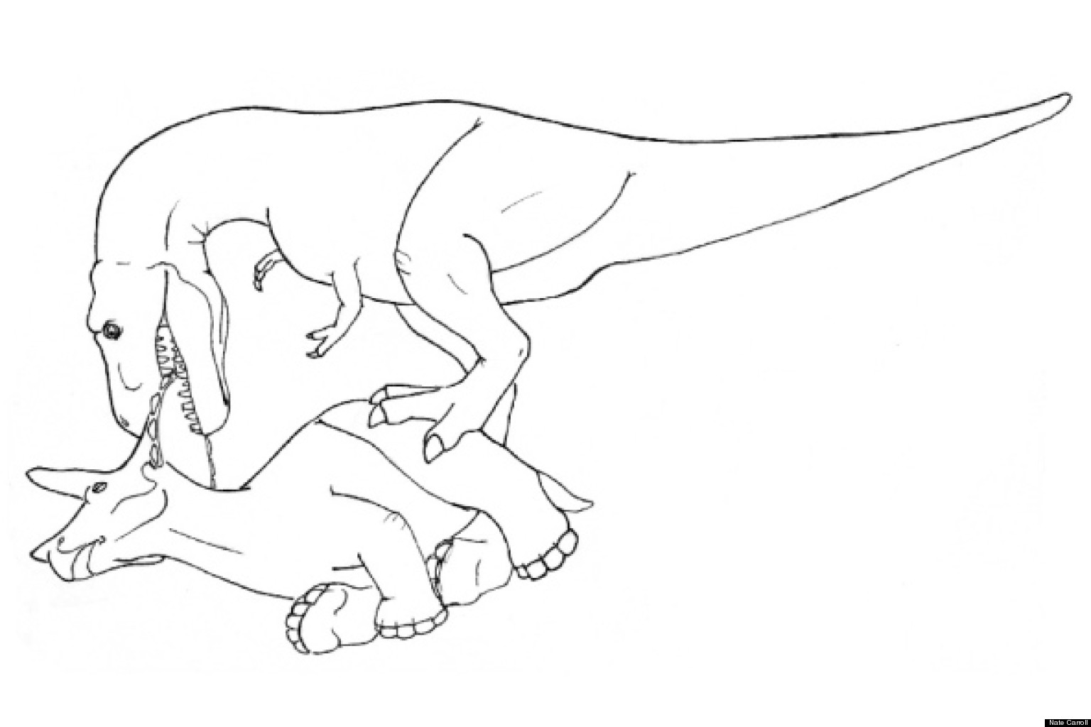 t rex eating triceratops