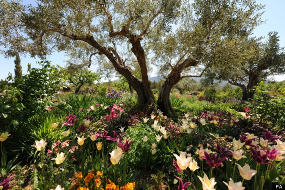 flowers