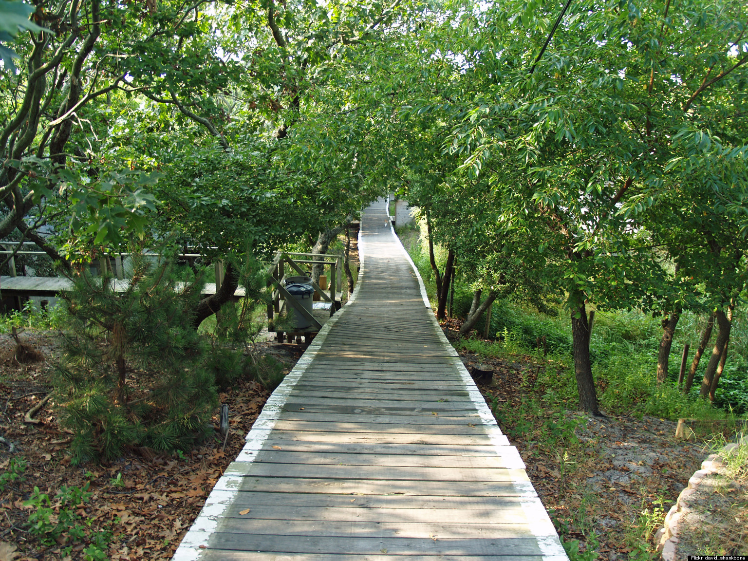 sandy-swoops-in-to-fire-island-pines-huffpost