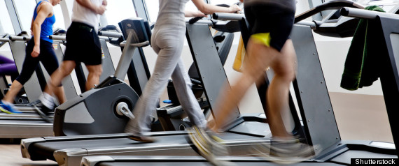 Exercise Gym