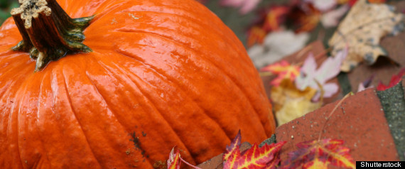 Halloween Rain
