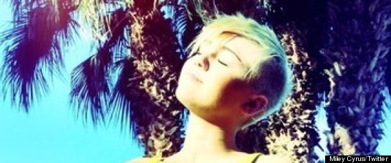 Miley Cyrus Twitter