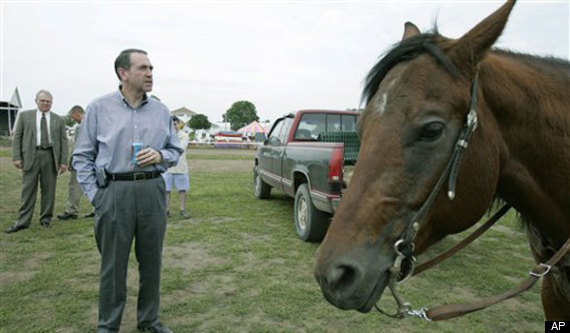 Huck And Horse