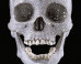 Happy Day Of The Dead!