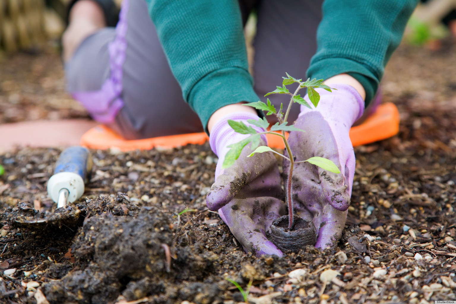 Overcoming Seasonal Affective Disorder With Gardening  HuffPost