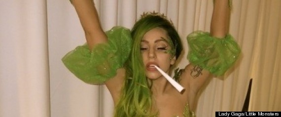 LADY GAGA WEED COSTUME