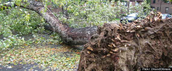 Hurricane Sandy