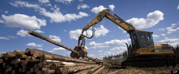 Hurricane Sandy Canada Forestry Economy