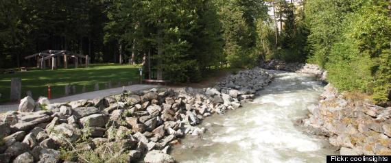 Whistler
