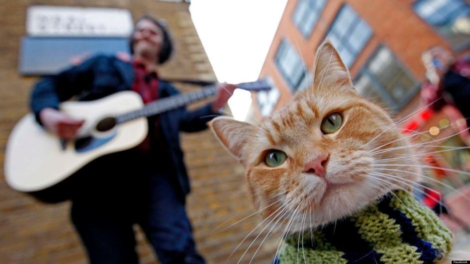A Street Cat Named Bob Film