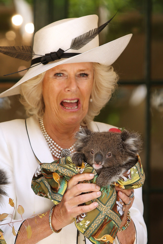 duchess of cornwall