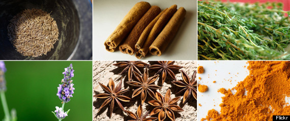 Healthy Herbs