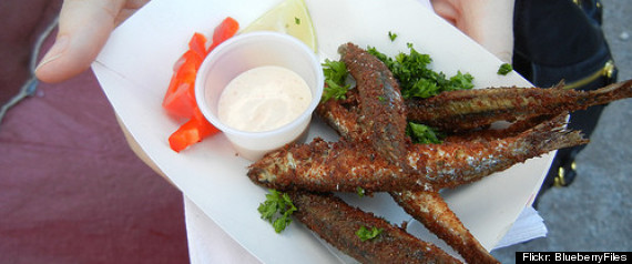 Caribbean Sardines Climate Change